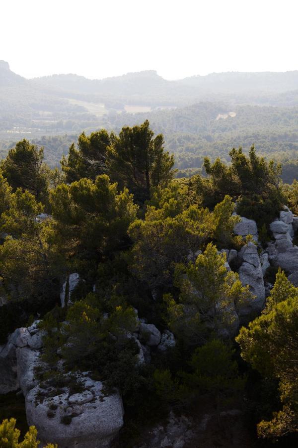 Le Mas Angelou Maussane les Alpilles Eksteriør bilde