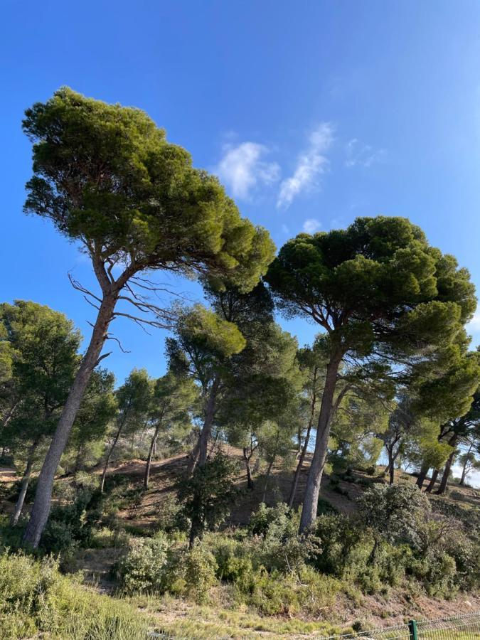 Le Mas Angelou Maussane les Alpilles Eksteriør bilde