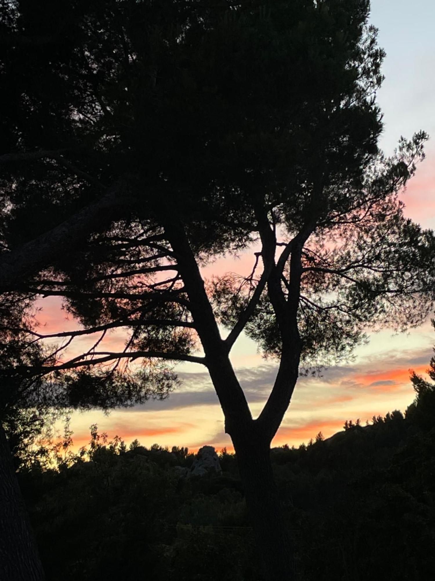 Le Mas Angelou Maussane les Alpilles Eksteriør bilde